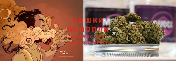 PSILOCYBIN Арсеньев