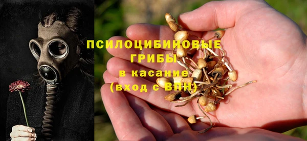 мяу мяу мука Армянск