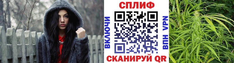 МАРИХУАНА тримм  Купить закладки  Белореченск 
